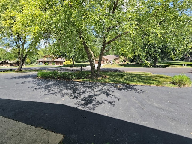 9616 Zimmer Dr, Algonquin, IL 60102 - view of road