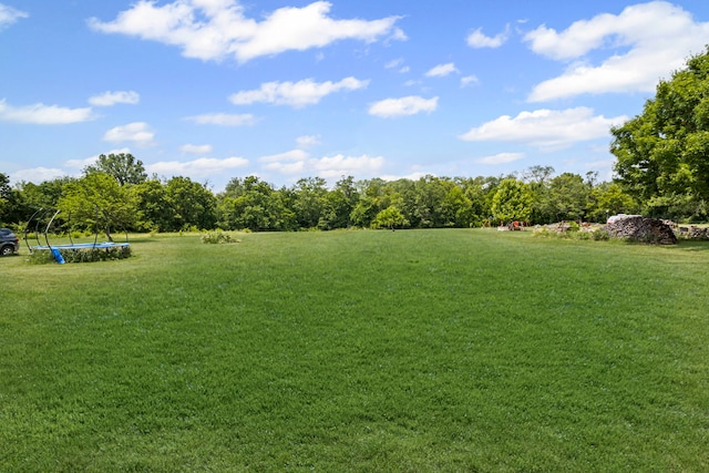 906 N State St, Marengo, IL 60152 - view of green lawn with a trampoline