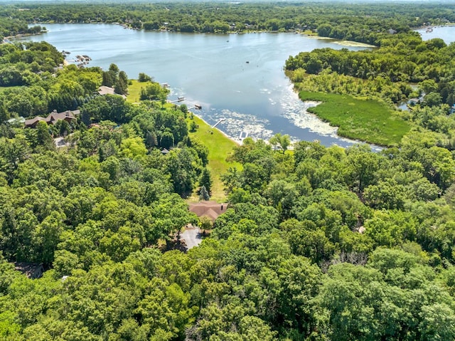 39081 N Sheridan Rd, Antioch, IL 60002 - bird's eye view of a forest and a nearby body of water