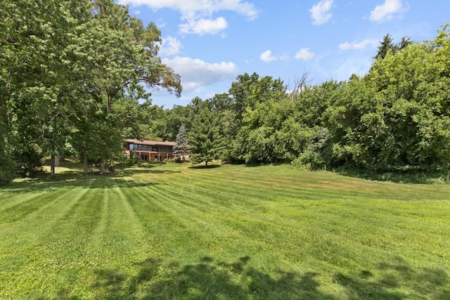 39081 N Sheridan Rd, Antioch, IL 60002 - view of grassy yard featuring a forest view
