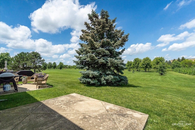 2577 Arcadia Cir, Naperville, IL 60540 - photo 16