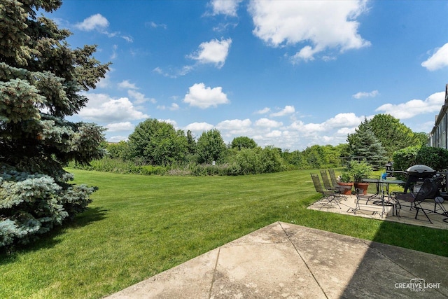 2577 Arcadia Cir, Naperville, IL 60540 - photo 17