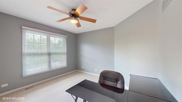 528 Terrace Ln, South Elgin, IL 60177 - photo 21