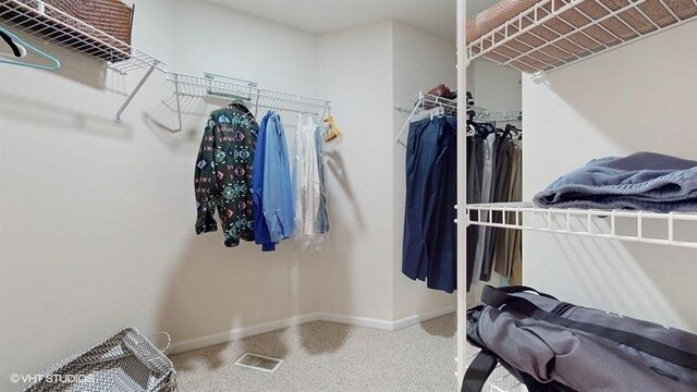 528 Terrace Ln, South Elgin, IL 60177 - photo 28