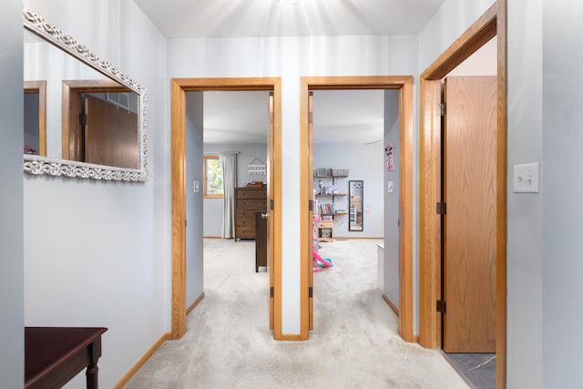 15317 S 73rd Ave Unit 8, Orland Park, IL 60462 - corridor featuring carpet floors