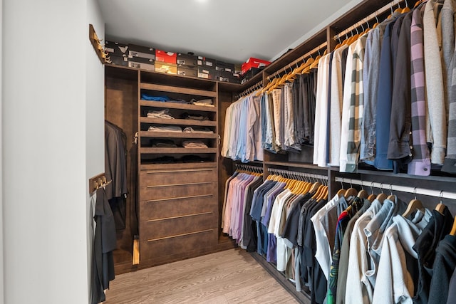 403 N Wabash Ave Unit 17C, Chicago, IL 60611 - walk in closet featuring light wood-type flooring
