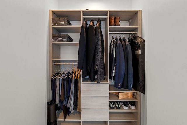 403 N Wabash Ave Unit 17C, Chicago, IL 60611 - view of closet
