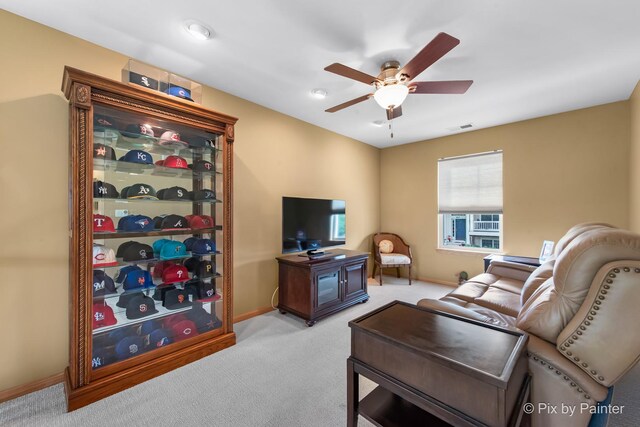 937 Emerald Dr, Pingree Grove, IL 60140 - living area with light colored carpet and ceiling fan