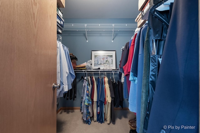 937 Emerald Dr, Pingree Grove, IL 60140 - walk in closet with carpet