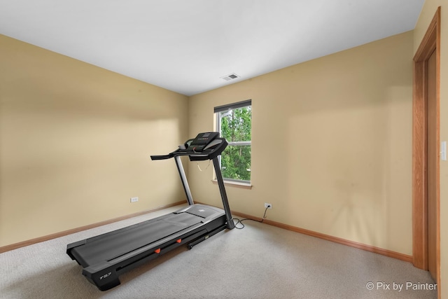 937 Emerald Dr, Pingree Grove, IL 60140 - exercise area with baseboards and carpet floors