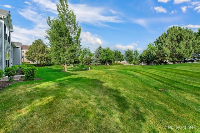 937 Emerald Dr, Pingree Grove, IL 60140 - view of green lawn