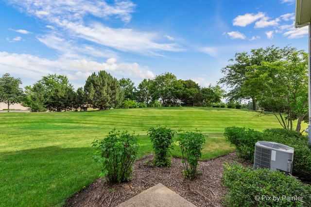 937 Emerald Dr, Pingree Grove, IL 60140 - view of green lawn