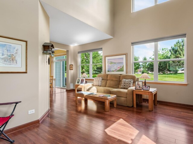 937 Emerald Dr, Pingree Grove, IL 60140 - living room featuring a high ceiling and wood finished floors