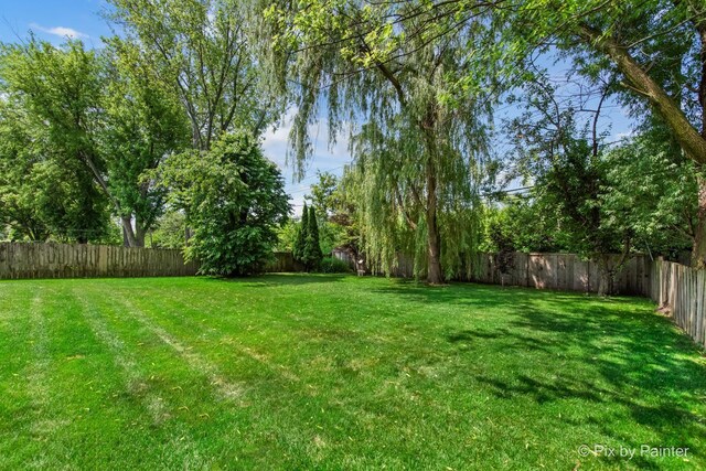 911 N Quince Ln, Mount Prospect, IL 60056 - photo 30