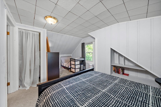 21207 Locust St, Matteson, IL 60443 - bedroom with carpet and lofted ceiling