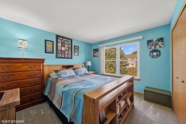 1908 Chestnut Hill Rd, Plainfield, IL 60586 - bedroom with dark colored carpet and a closet