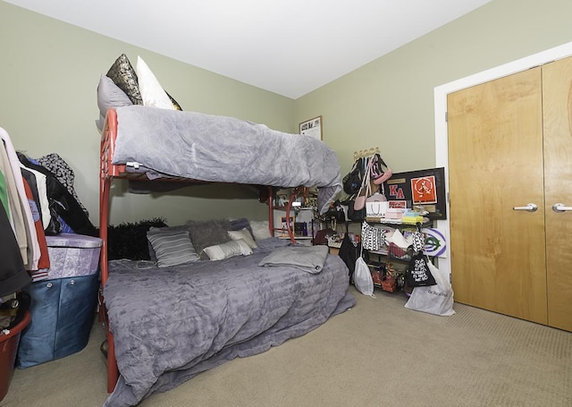1621 S Halsted St Unit 405, Chicago, IL 60608 - bedroom with carpet flooring