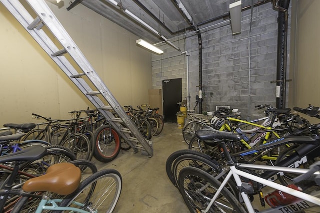 1621 S Halsted St Unit 405, Chicago, IL 60608 - garage with concrete block wall