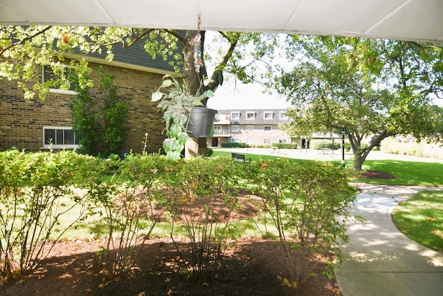 3856 S Parkway Dr Unit 1E, Northbrook, IL 60062 - view of property's community