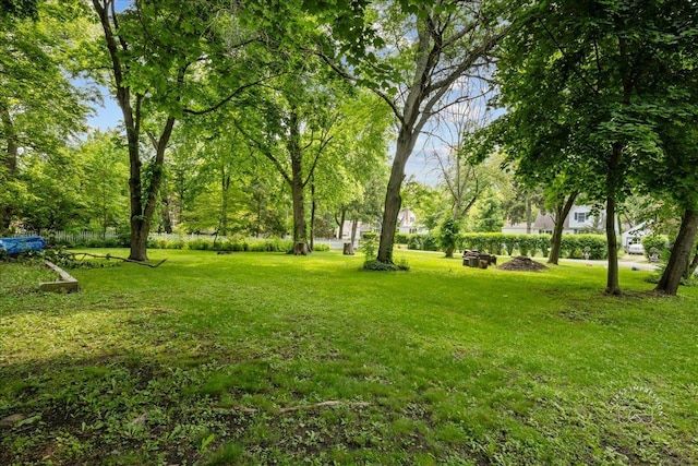 32W167 Army Trail Rd, Wayne, IL 60184 - view of green lawn