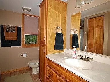 9417 W Steger Rd, Frankfort, IL 60423 - bathroom featuring vanity and toilet