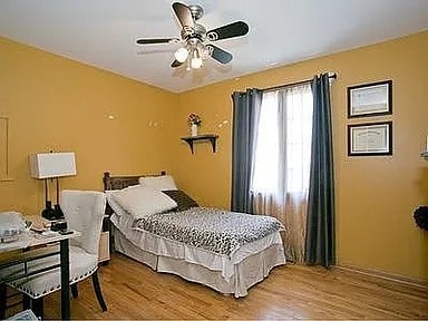 9417 W Steger Rd, Frankfort, IL 60423 - bedroom with wood finished floors and ceiling fan
