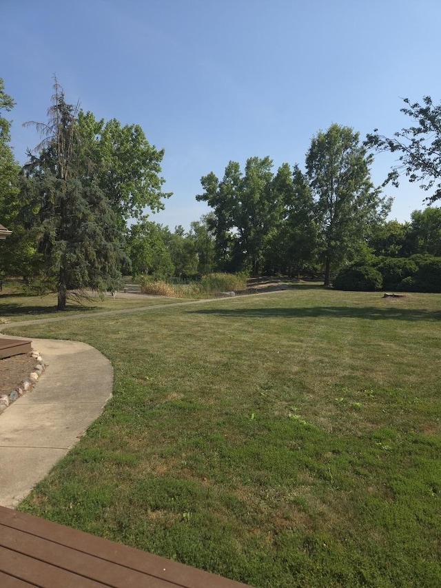 9417 W Steger Rd, Frankfort, IL 60423 - photo 25
