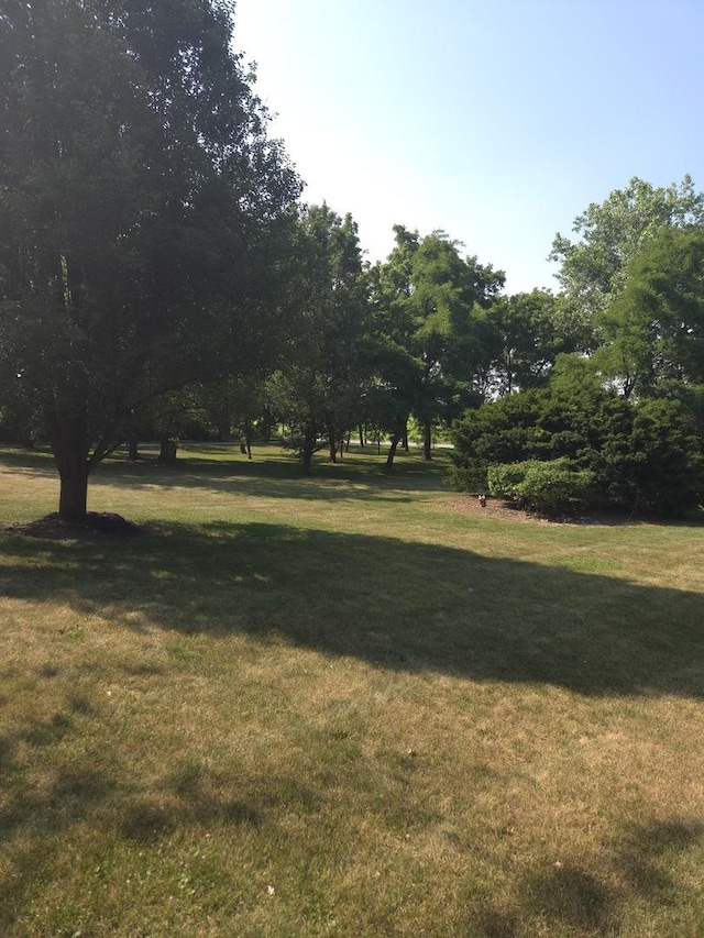 9417 W Steger Rd, Frankfort, IL 60423 - photo 27