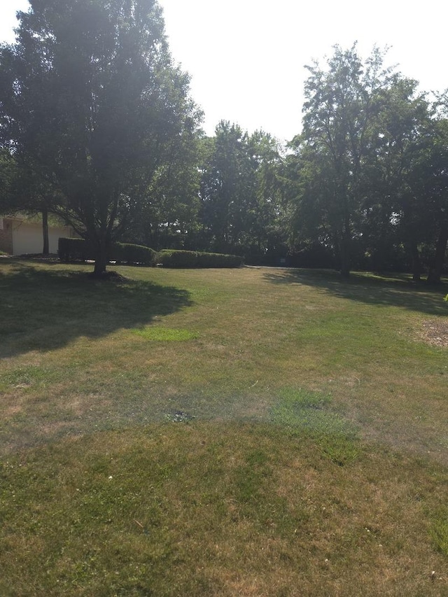 9417 W Steger Rd, Frankfort, IL 60423 - photo 30