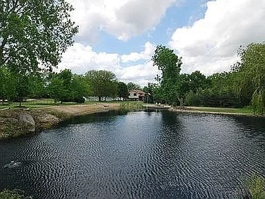 9417 W Steger Rd, Frankfort, IL 60423 - water view