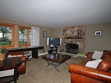 9417 W Steger Rd, Frankfort, IL 60423 - living room featuring a fireplace and baseboards