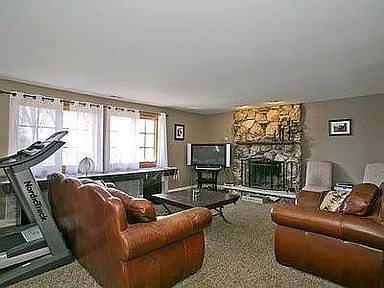 9417 W Steger Rd, Frankfort, IL 60423 - carpeted living area featuring a stone fireplace