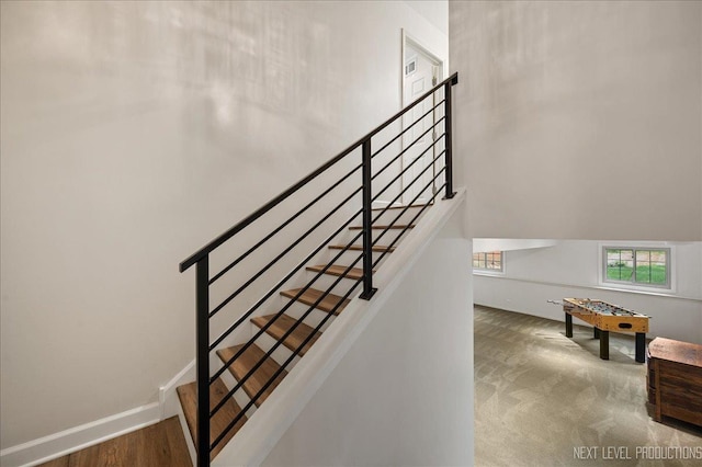 24106 W Pheasant Chase Dr, Plainfield, IL 60544 - stairway with baseboards and carpet floors