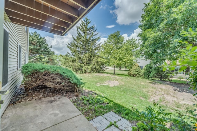 665 Thorntree Ct Unit A-1, Bartlett, IL 60103 - photo 16