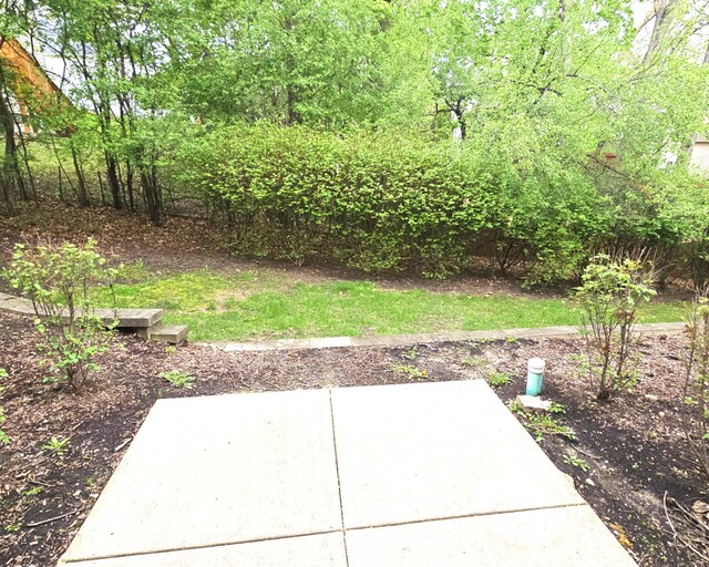 1249 Brookdale Dr Unit 1249, Carpentersville, IL 60110 - photo 5