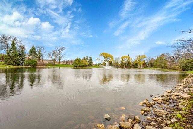 2445 Palazzo Dr, Buffalo Grove, IL 60089 - photo 28