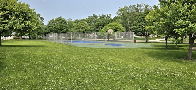 1607 Warwick Ln, Schaumburg, IL 60193 - view of property's community with community basketball court