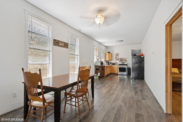 3638 S Lowe Ave, Chicago, IL 60609 - photo 4