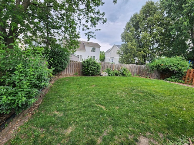 1036 Georgian Pl, Bartlett, IL 60103 - view of fenced backyard