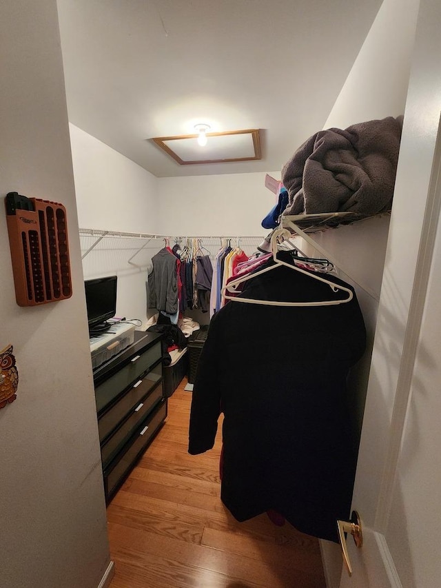 1036 Georgian Pl, Bartlett, IL 60103 - walk in closet featuring light wood-style flooring