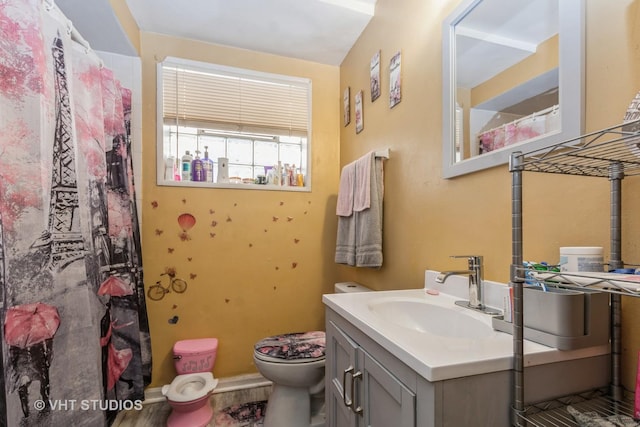 13937 S School St, Riverdale, IL 60827 - bathroom featuring vanity and a shower with curtain
