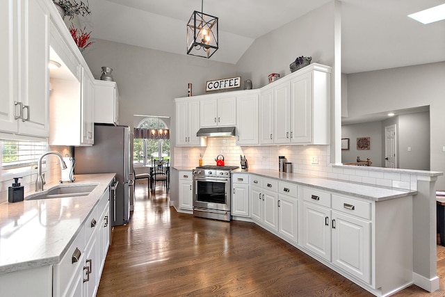 16243 Hummingbird Hill Dr, Orland Park, IL 60467 - kitchen featuring stainless steel appliances, under cabinet range hood, white cabinetry, dark wood-style flooring, and lofted ceiling