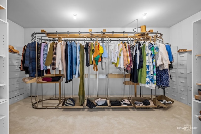 1900 Millburne Rd, Lake Forest, IL 60045 - walk in closet with carpet