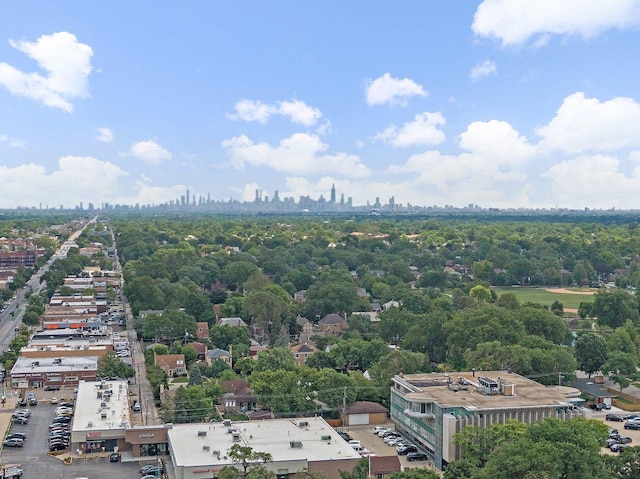 7234 W N Ave Unit 1203, Elmwood Park, IL 60707 - aerial view of city skyline