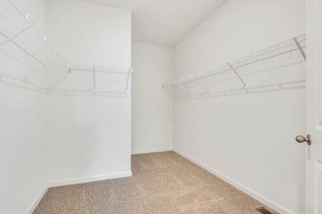 14653 S Greenbriar Dr, Plainfield, IL 60544 - walk in closet with light carpet