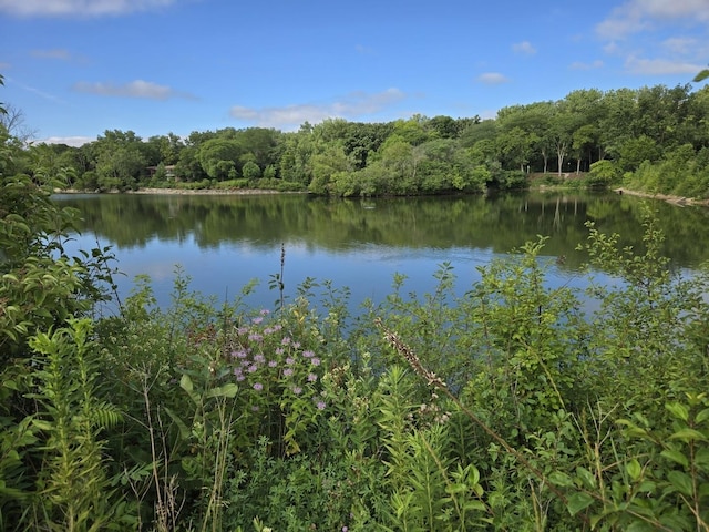 5900 Forest View Rd Unit 2A, Lisle, IL 60532 - photo 19