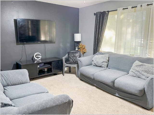 5540 Pebblebeach Dr, Hanover Park, IL 60133 - photo 5