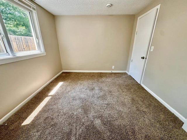 308 N Clifton Ave, Elgin, IL 60123 - photo 13