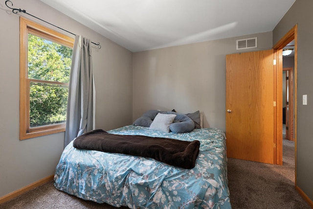 24929 Vermette Rd, Plainfield, IL 60585 - bedroom with carpet
