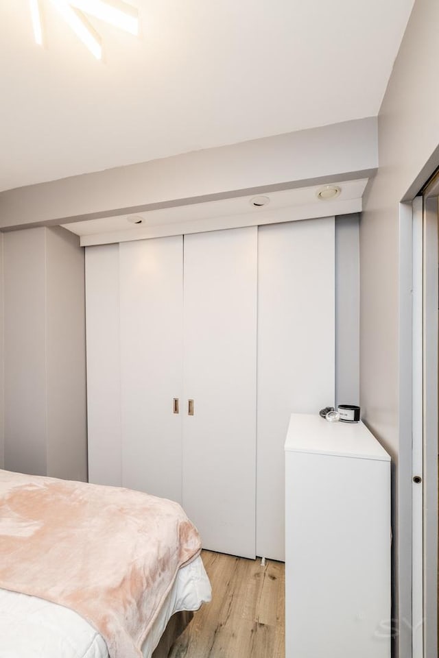 21 W Chestnut St Unit 907, Chicago, IL 60610 - bedroom featuring light wood finished floors and a closet